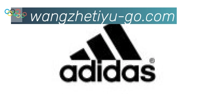 王者体育直播合作伙伴
